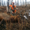 Elk, Deer & Bear